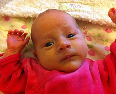 Jule - August 2011