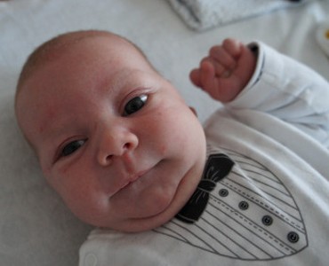 Milo - Januar 2015